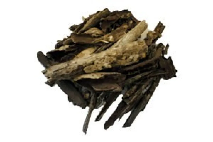 Seemandelbaumrinde XXL, 50 g