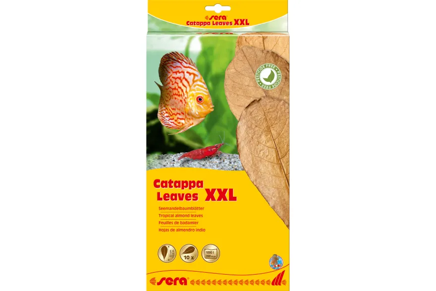 Sera Catappa Leaves XXL, ca. 32 cm, 10 Stück