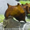 Stachelige Turmdeckelschnecke, Brotia pagodula