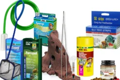 Starter Set für Gesellschafts-Aquarien - Einsteigerkomplettpaket