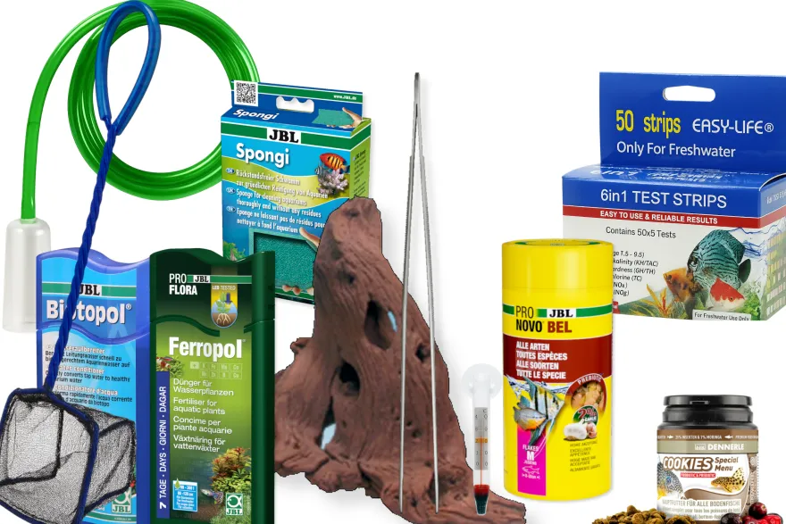 Starter Set für Gesellschafts-Aquarien - Einsteigerkomplettpaket