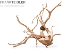 Stoffels Spiderwood groß, ca. 40-50 cm