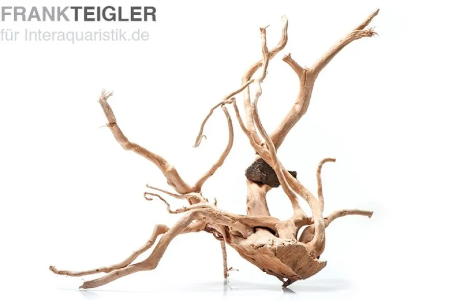 Stoffels Spiderwood groß, ca. 40-50 cm