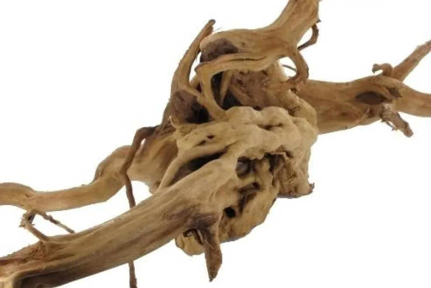 Stoffels Spiderwood groß, ca. 40-50 cm