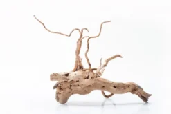 Stoffels Spiderwood klein, ca. 20-30 cm
