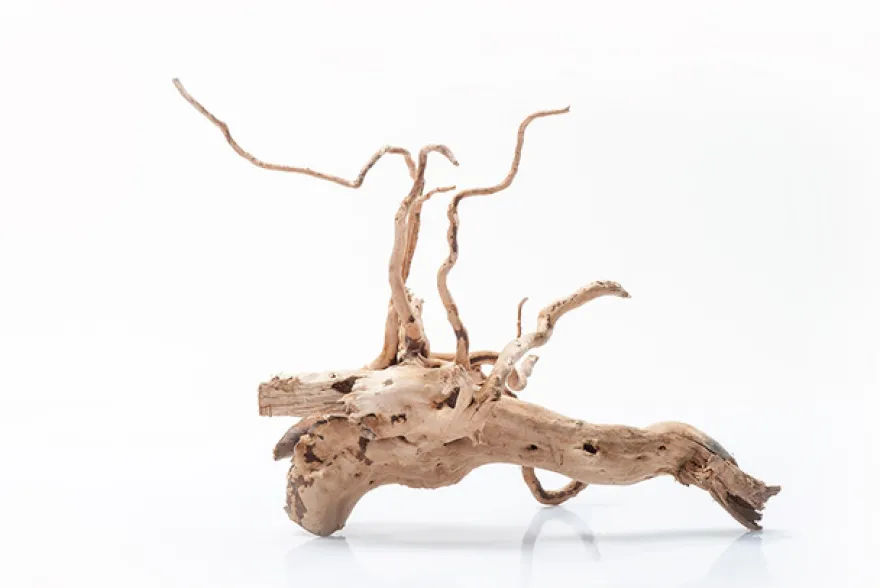 Stoffels Spiderwood klein, ca. 20-30 cm