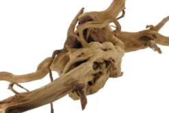 Stoffels Spiderwood mittel, ca. 25-40 cm