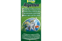 Tetra Algetten, Algenbekämpfer-Tabletten, 12 Tabletten