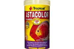 Tropical Astacolor, 500 ml, Farbfutter