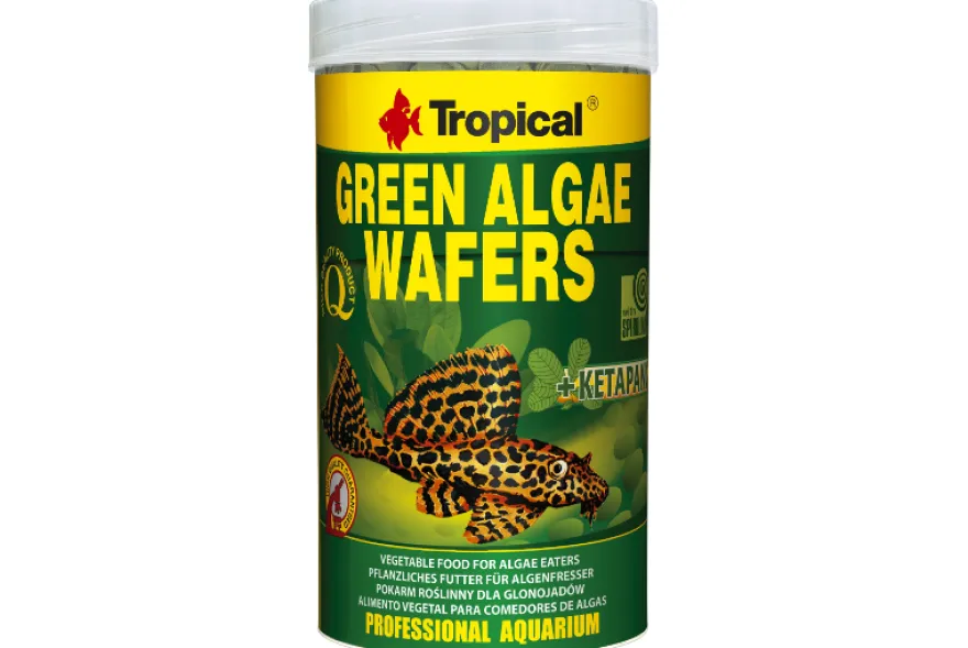 Tropical Green Algae Wafers, 250 ml