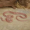 Ultramel-Motley-Kornnatter, Pantherophis guttatus