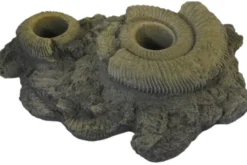 Variogart Pflanzhilfe 12 Fossilien 1430