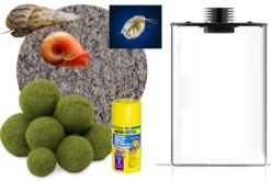 Wasserfloh-Biotop, komplettes Mini-Ökosystem (Biosphäre)
