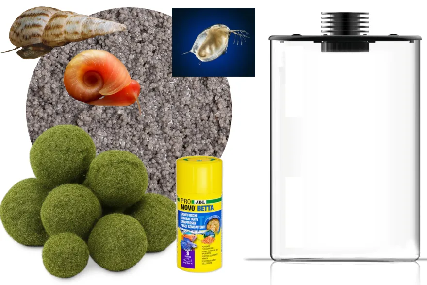 Wasserfloh-Biotop, komplettes Mini-Ökosystem (Biosphäre)