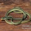 Westliche Bändernatter, Thamnophis proximus