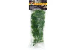Zoomed Medium Borneo Star Kunststoffpflanze, 46 cm