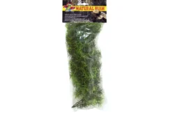 Zoomed Medium Cashuarina Kunststoffpflanze, 46 cm