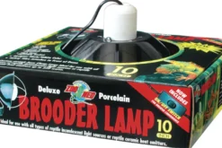 Zoomed Porcelain Clamp Lamp (max. 200 W), Klemmlampe, 25 cm
