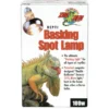 Zoomed Repti Basking Spot Strahler, 100 W