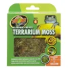 Zoomed Terrarium Moss S, Moos, 1,31 L